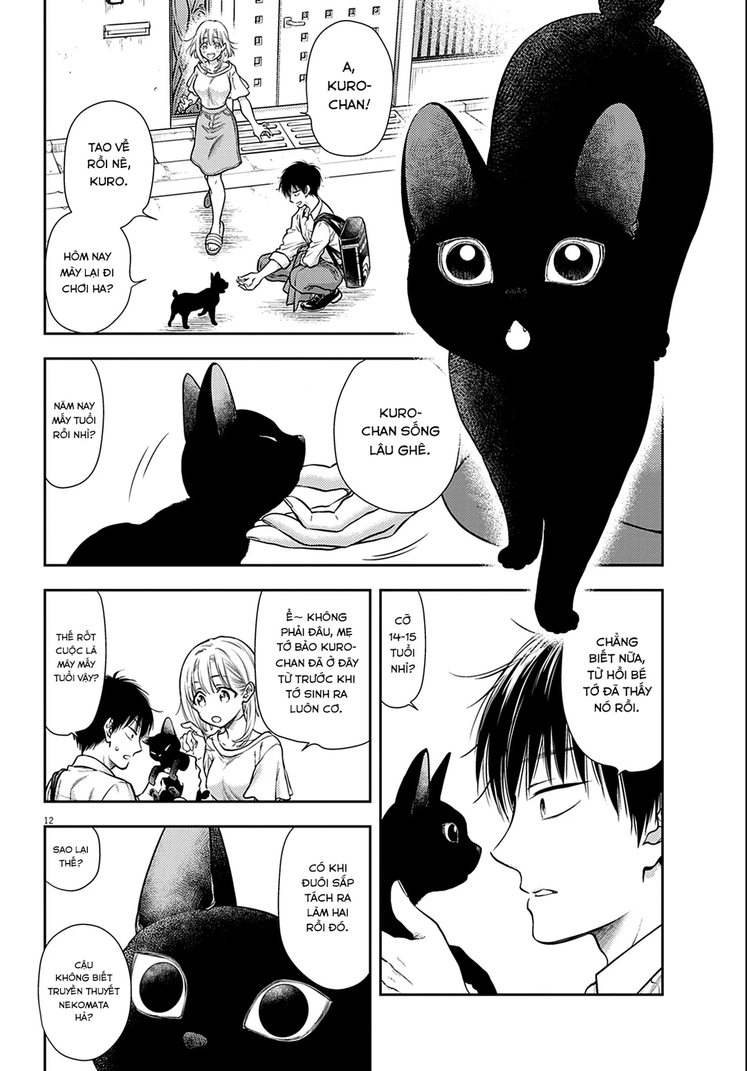 Chapter 1 - Image 12