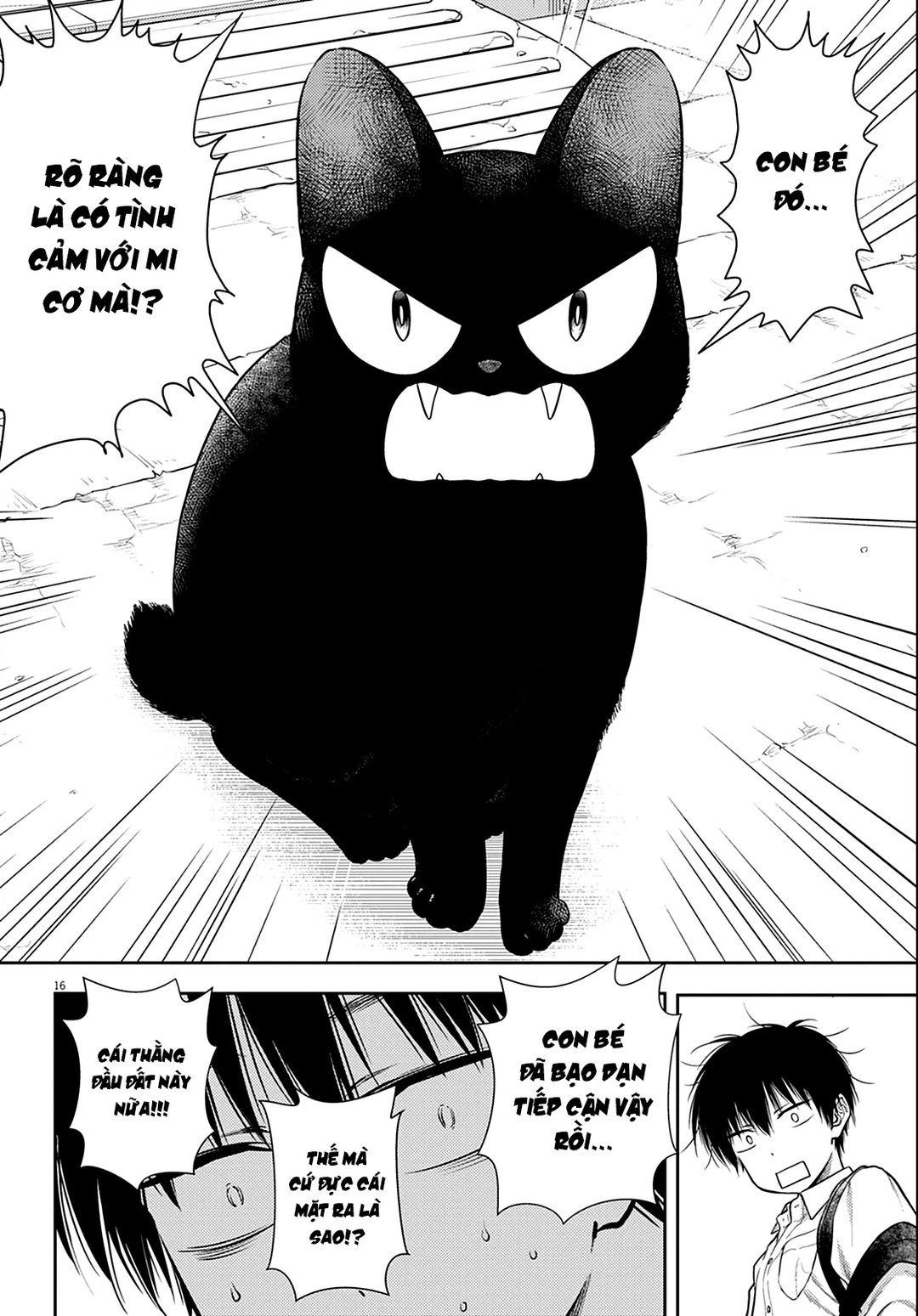 Chapter 1 - Image 16