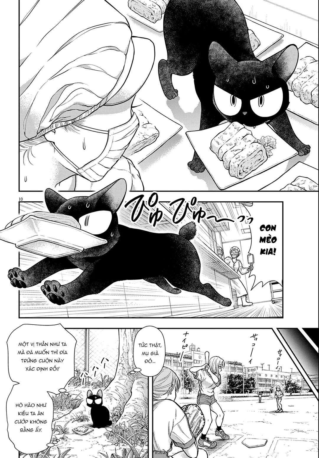Chapter 3 - Image 11